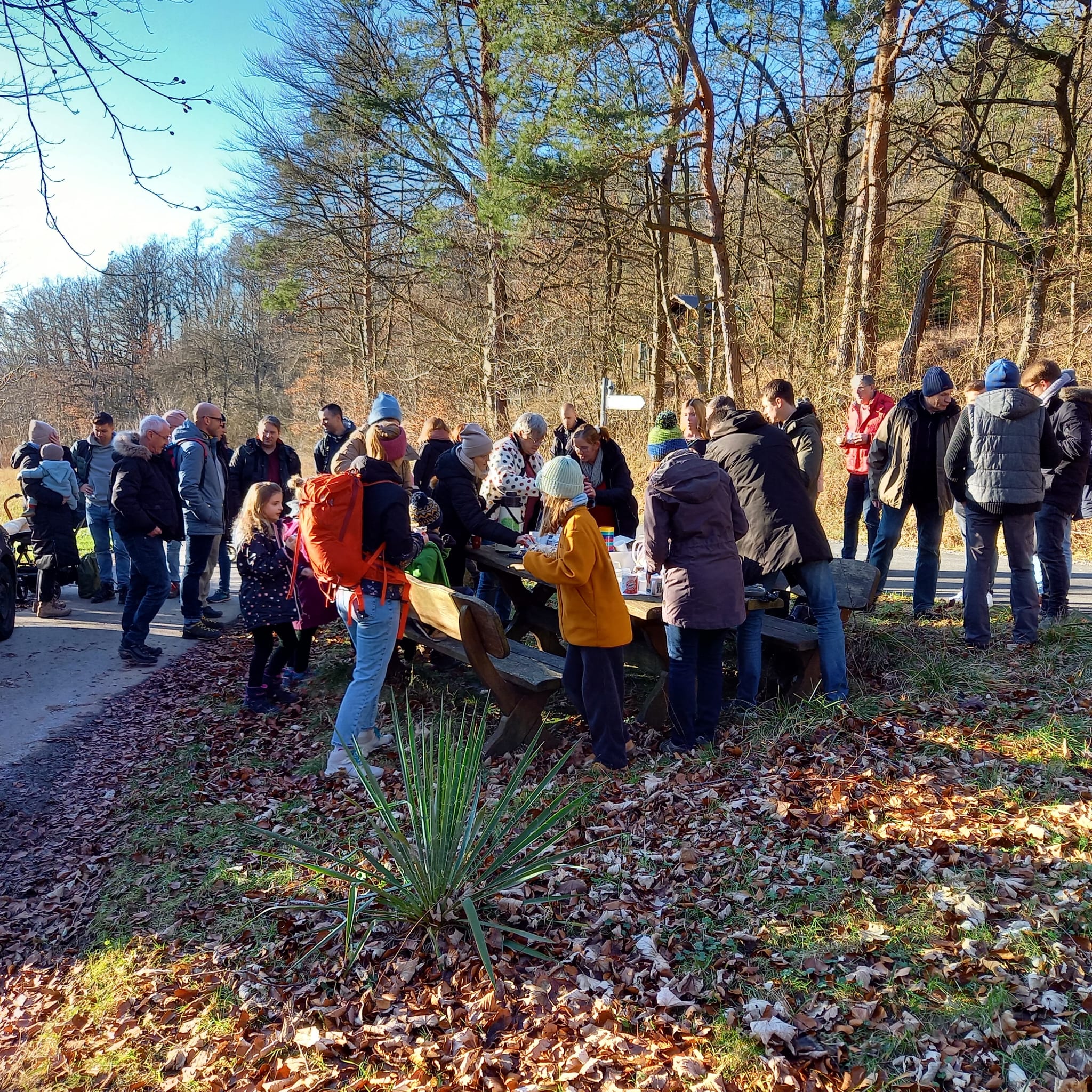 WhatsApp Image 2025 01 14 at 22.54.09